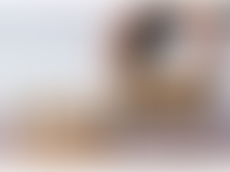 AI Tools Can Point You to Fake Websites