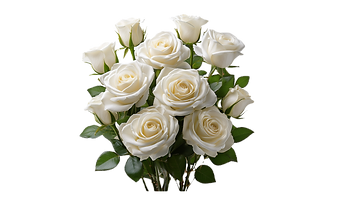 Untitled - 2025-09-23T013525_edited.png