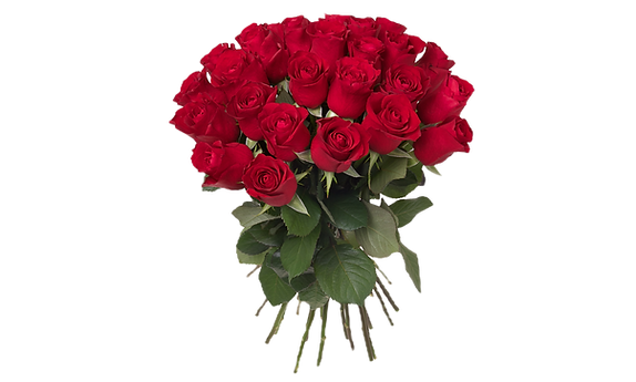 Untitled - 2025-09-22T212815_edited_edit