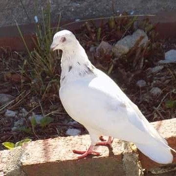 14473939_1788975294724335_72253184744053