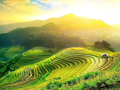 Mở Rộng Hợp Tác – Đưa Hương Vị BOYO Đến Vùng Cao Nguyên Hà Giang
