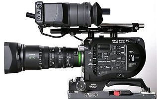 sonf fs 7.jpeg
