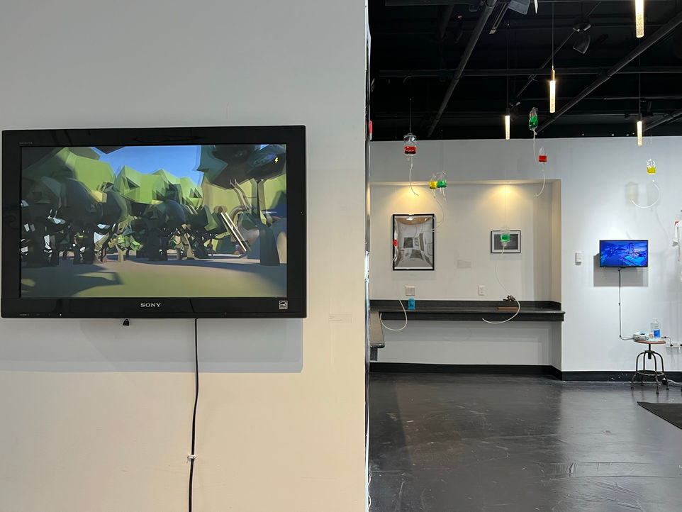 Fine art show gallery (7).JPEG