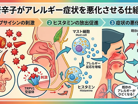 唐辛子がアレルギー症状を悪化させる仕組み