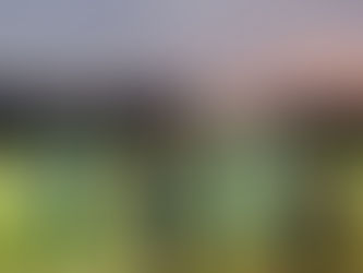 EF High School Exchange Year