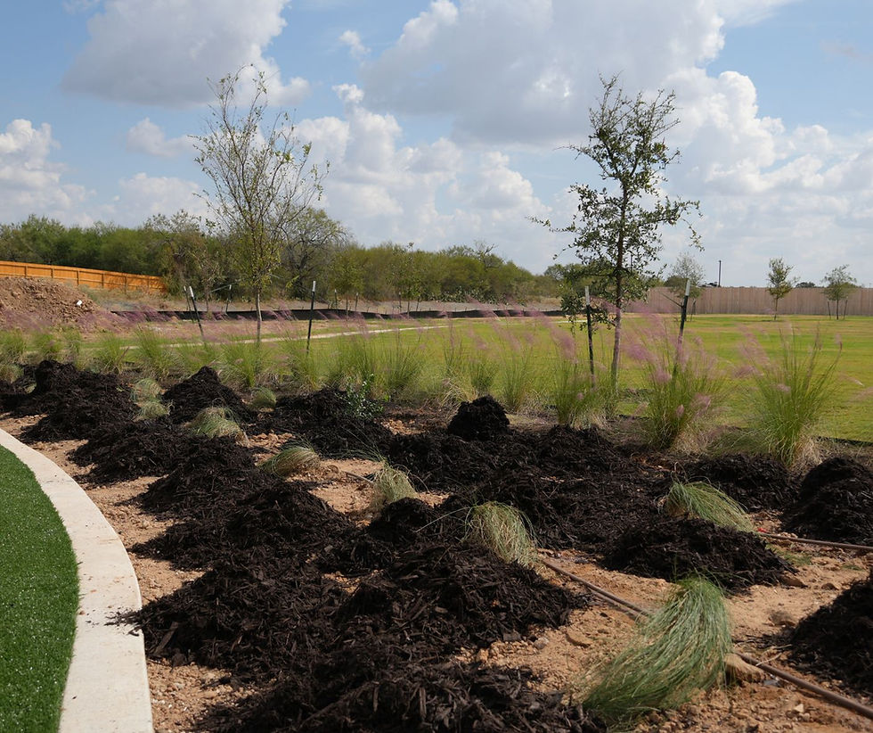 Mulch-And-Shrub-Installation-Luling-TX-Subdivision.jpg