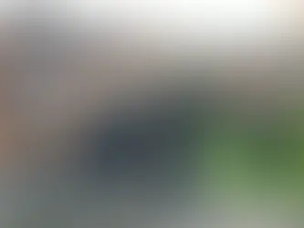 Curral do PT, Bahia tem mais de 45 mortes em confrontos policiais em setembro