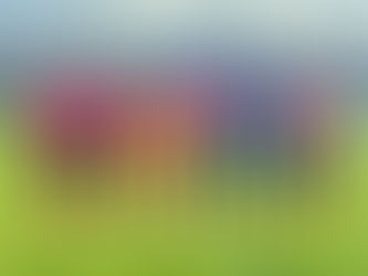 Primavera tropeça, empata com Sinop e tem tabela difícil pela frente