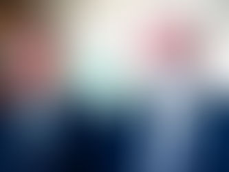 Neri Gueller pode virar líder de Bolsonaro