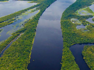 PEC reduz IPTU como incentivo à preservação ambiental