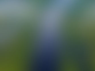 PEC reduz IPTU como incentivo à preservação ambiental