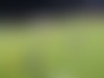 Primavera vence União por 3 x 0 e assume 2º colocação do estadual 2025