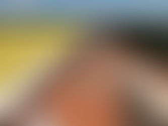 Governo e Rumo entregam 1ª ponte da Ferrovia Estadual