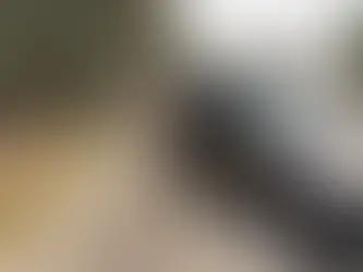 Alexandre de Moraes suspende reintegração de posse