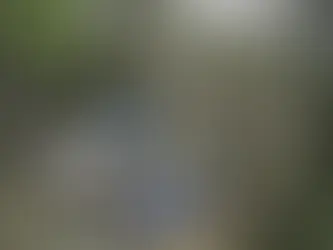 Em Tapurah, piloto morre após queda de avião em fazenda