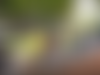 Servidores fazem protesto em frente a casa do prefeito Zé do Pátio e paralisam serviço por