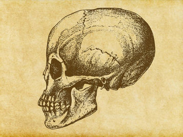 The Jaw Joint: A Tiny Hinge with a Massive Impact