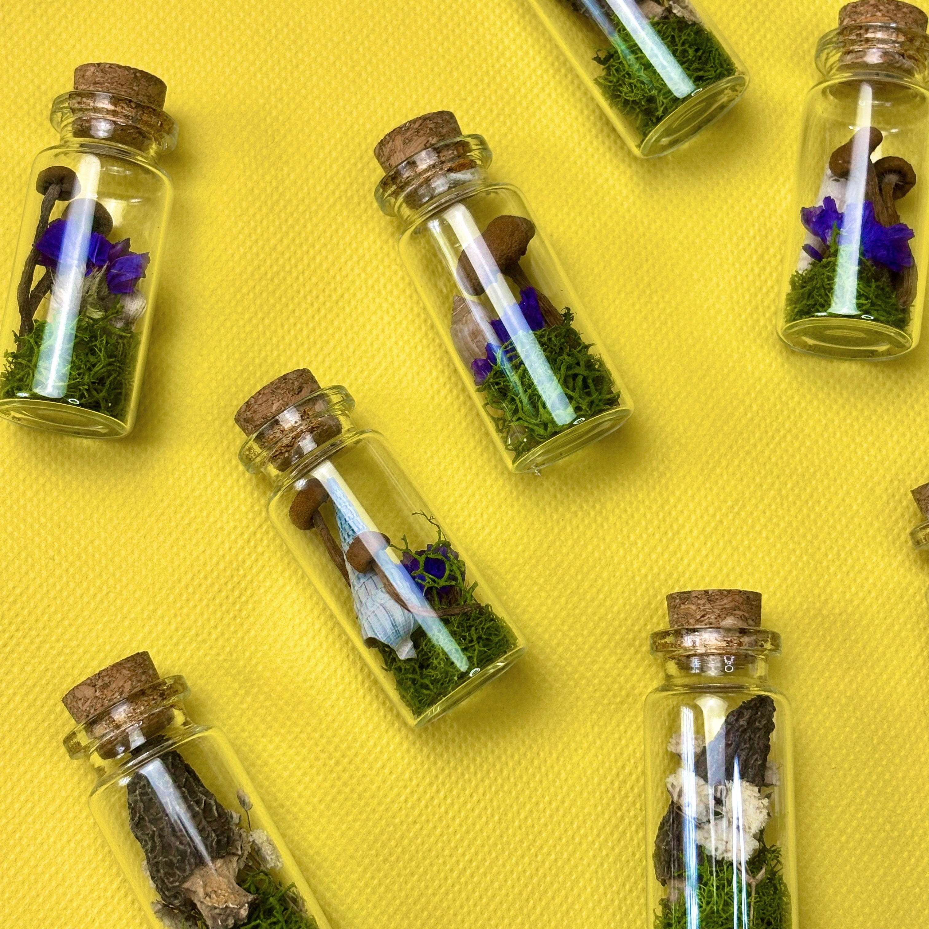 Mushroom Vials
