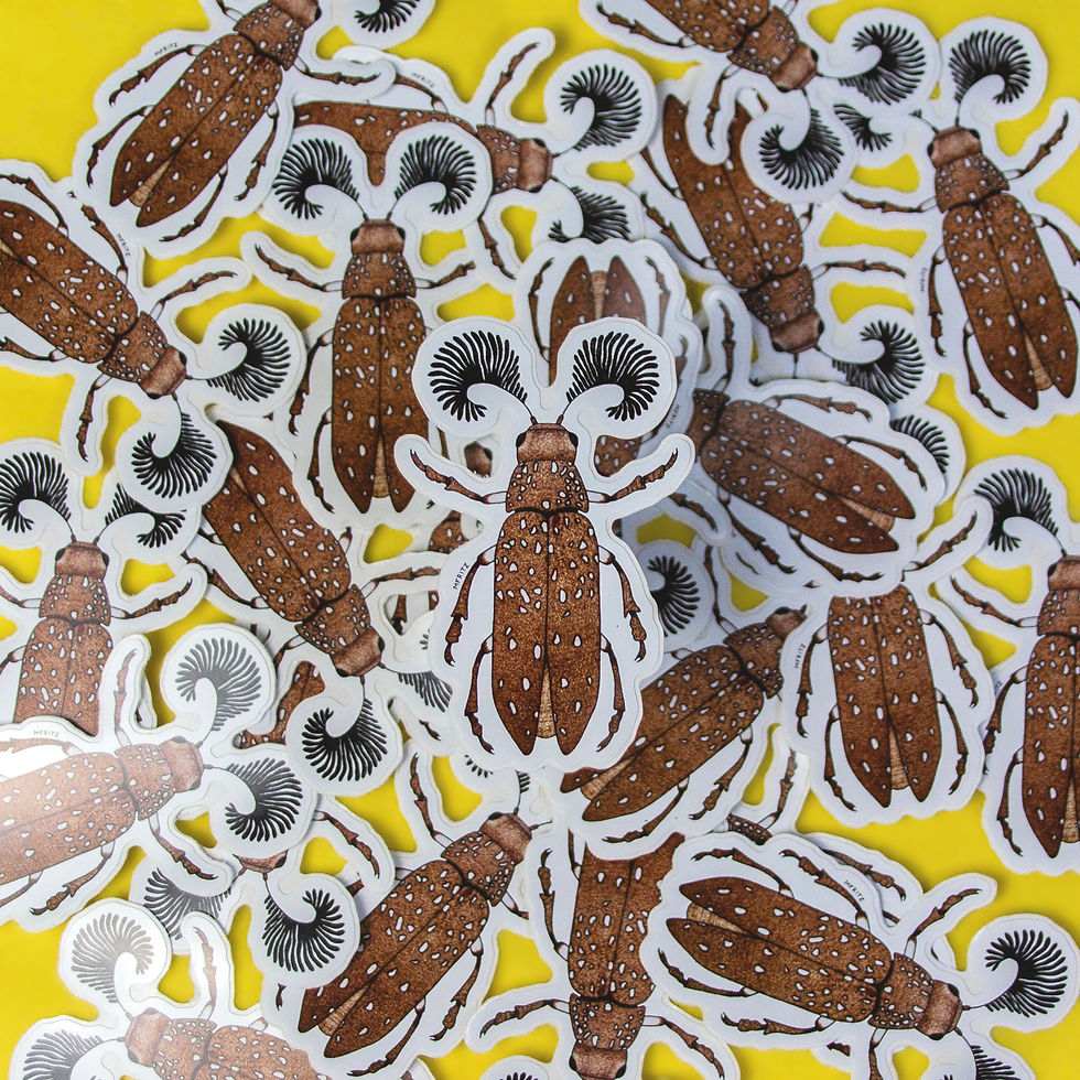 Thumbnail: Feather Horned Beetle Sticker