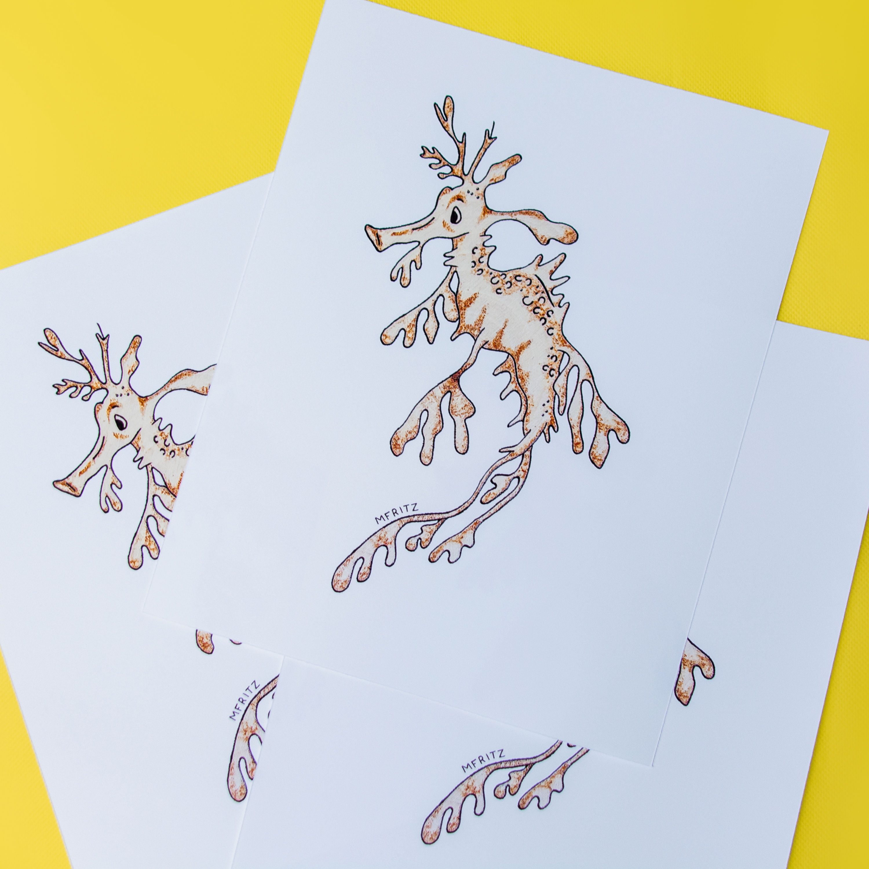 Leafy Seadragon (8x10 Print)