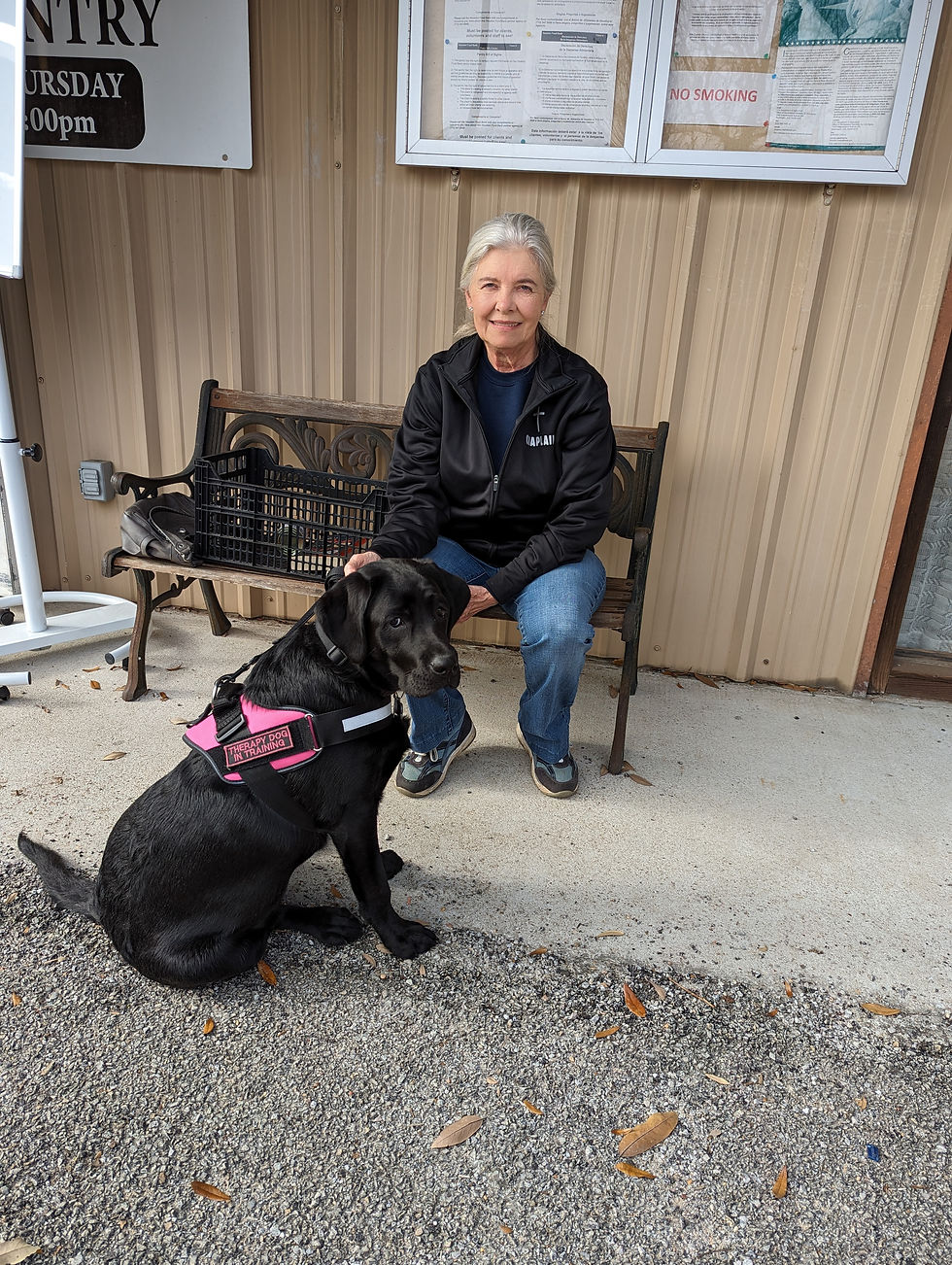 We Love Our Volunteers!