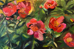 Peonies