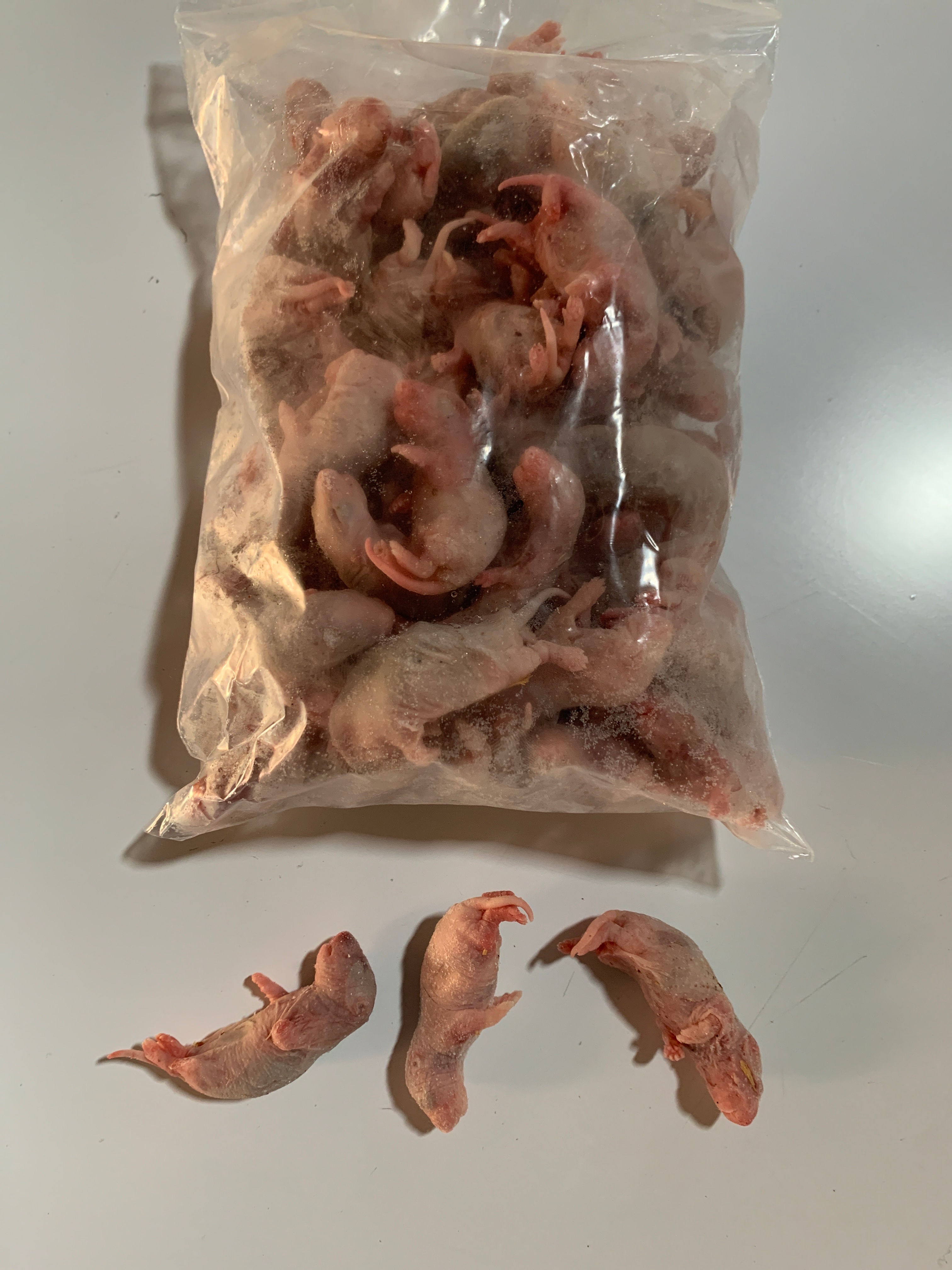 Sachet de 50 rats 4/10 gr.