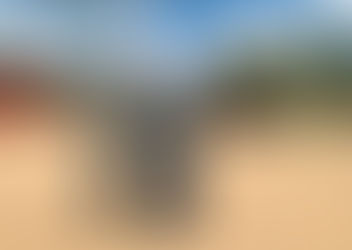 Do Not Disturb: I’m In a Zipolite State of Mind