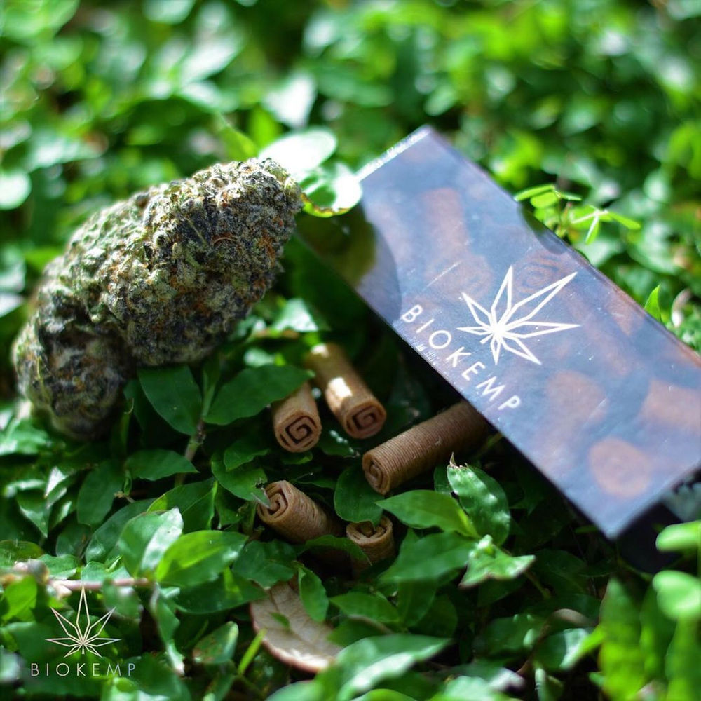 3 Essential Rules for DIY Joint Filter Tips BIOKEMP