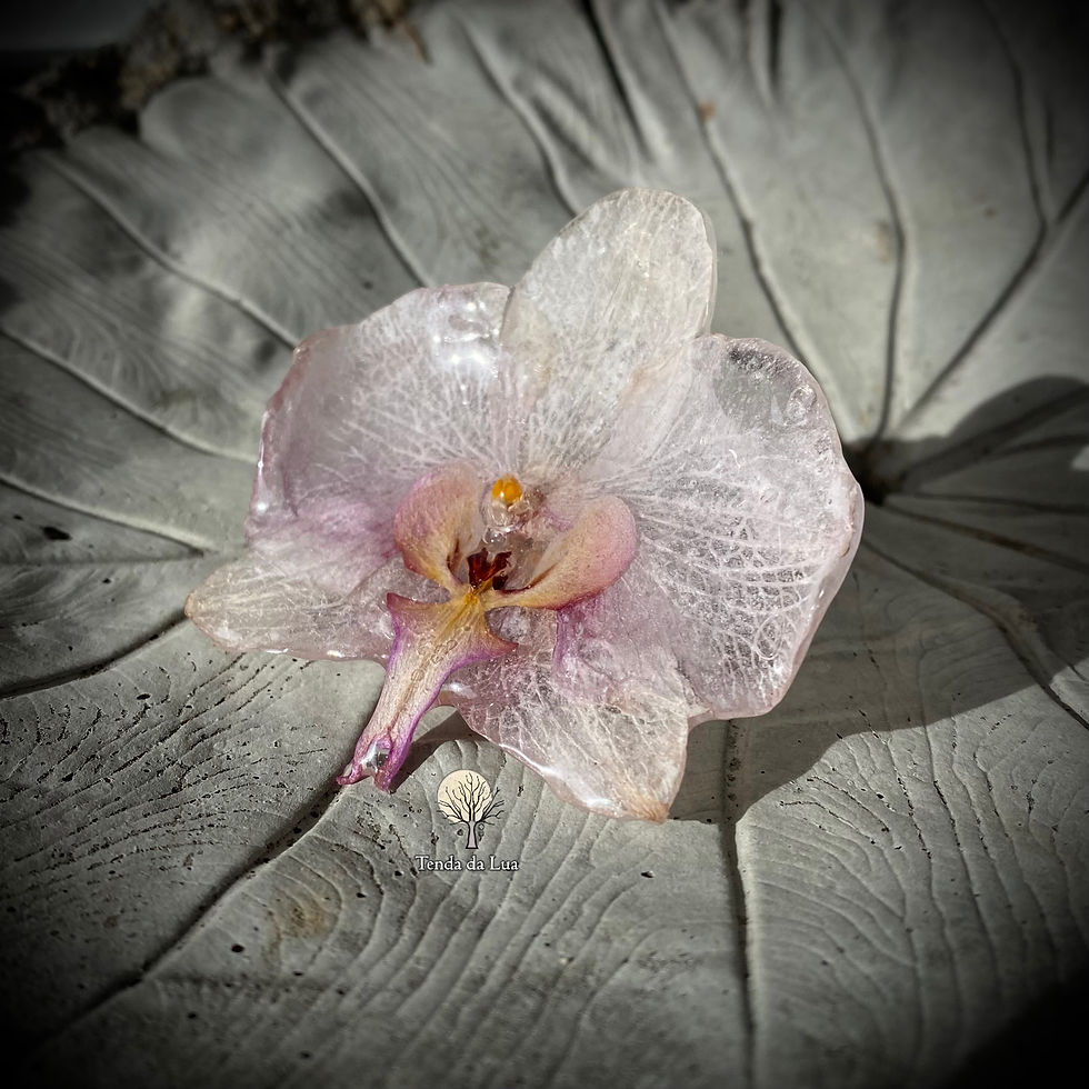 Miniatura: Anel Orquídea Natural
