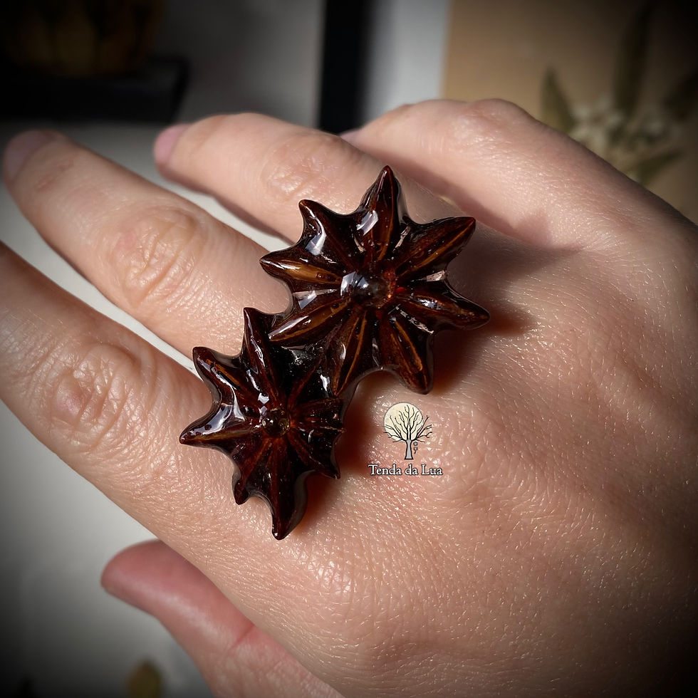 Miniatura: Anel Anis Anises-estrelados e Turmalinas
