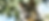 Thumbnail: 15 oz. Black Mug