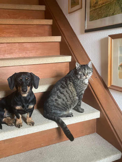 Paulinchen und Leo 