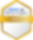 Gold_2Competencies.png
