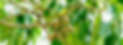 Untitled design (24).png