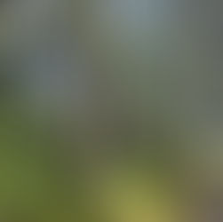 January 2026 Newsletter