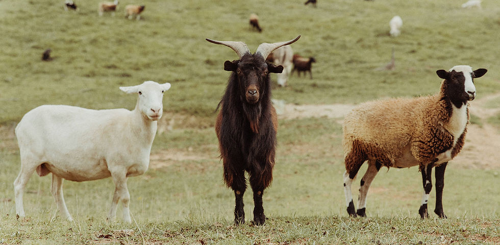 Chils Family_2022_122.jpg