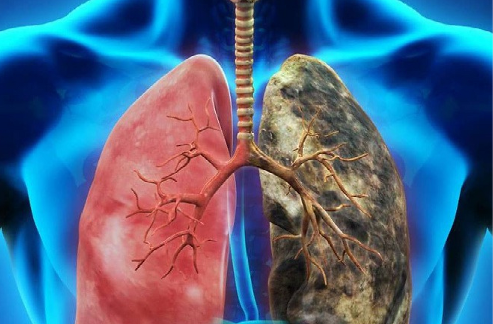 Bx_N.º01_Revista Petrogás & Bio_2024 (1).pdf (30).png