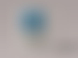 WHAT'S SO FINE ABOUT THE 1689?