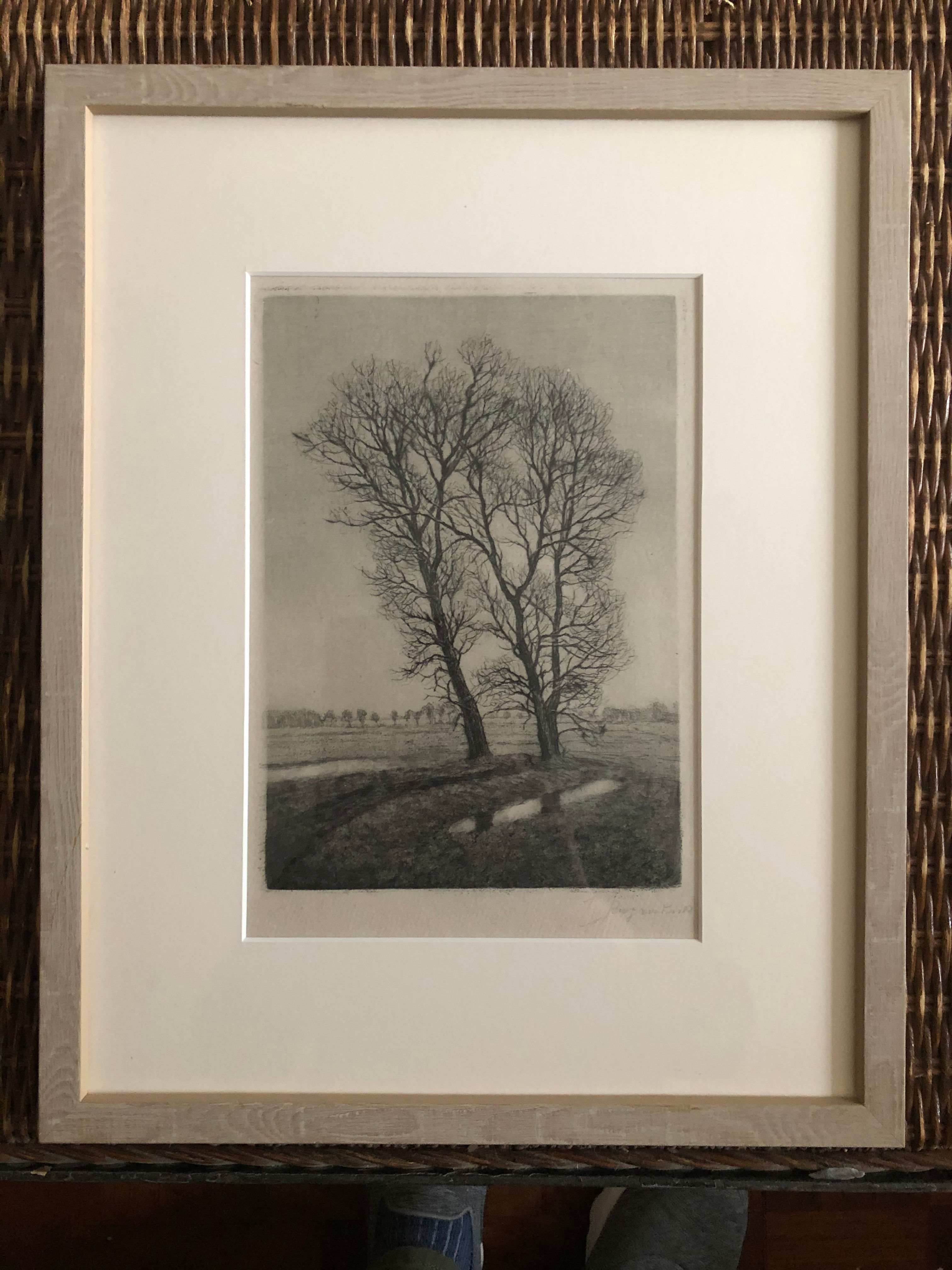Trees, Indistinctly signed - Framed Antique Print