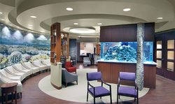 Custom Office Aquarium 10