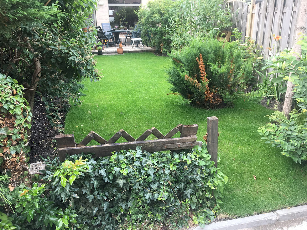 Aanleg graszoden