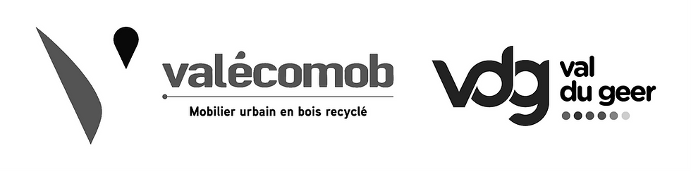 Logo - valecomob -vdg_edited.png