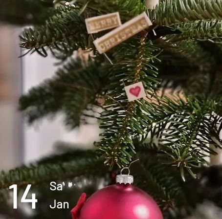 Abholung der Weihnachtsbäume