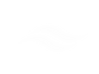 welle logo weiß freigestellt (002).png
