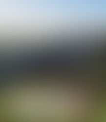 Ein Hoch auf das Ehrenamt!