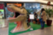 _DSC7056.jpeg