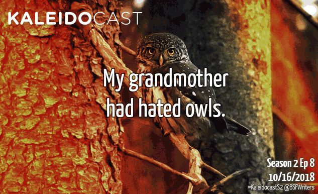 s2e8owlofanatolia