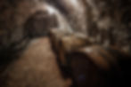 wine-barrels-row-2023-11-27-04-57-03-utc.jpg