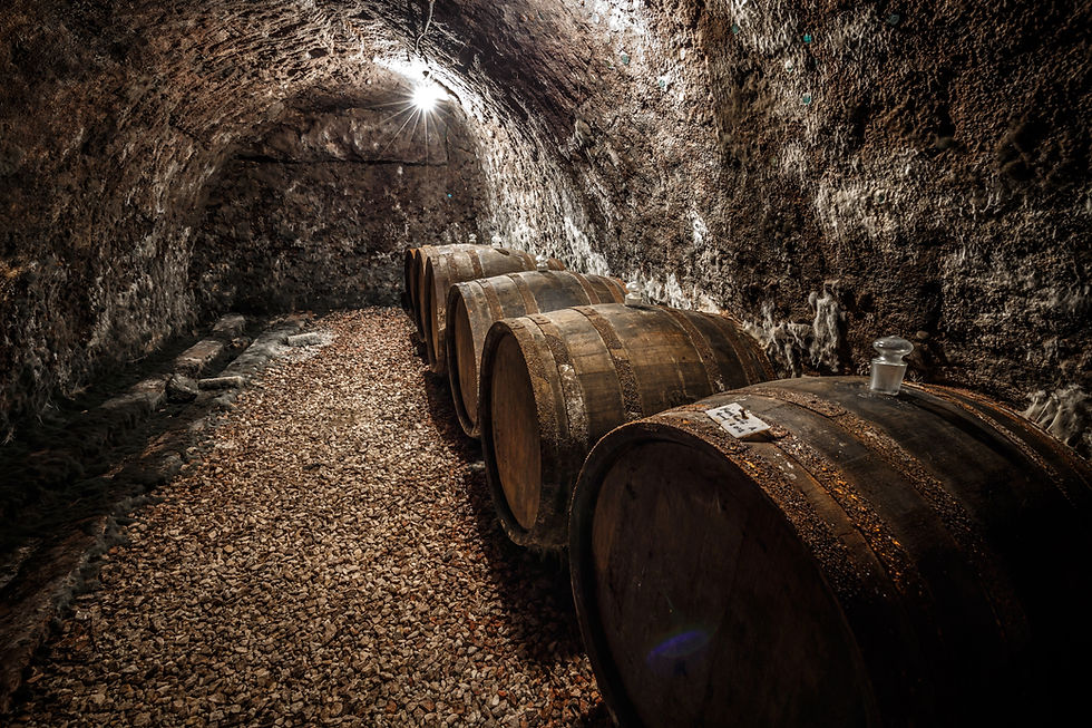 barris-de-vinho-fileira-2023-11-27-04-57-03-utc.jpg